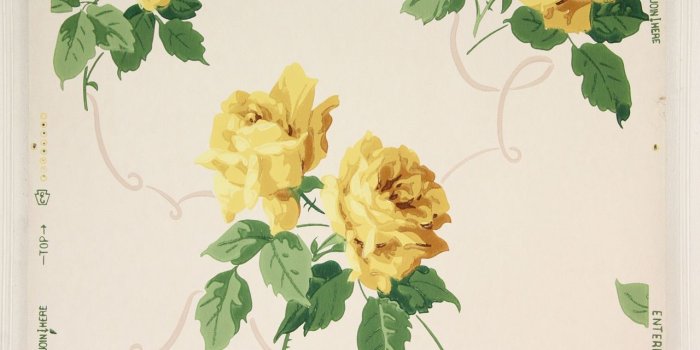 1280x853 1940s Vintage Wallpaper Yellow Roses