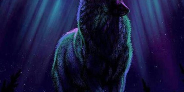 725x1280 Wolf art Wallpaper by Skate_boY - 9f - Free on ZEDGE™