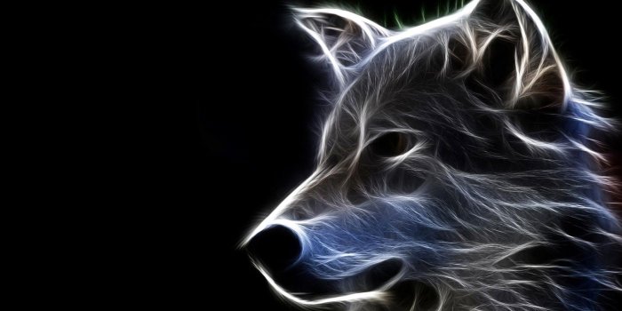 1805x1128 Abstract, Wolf, Art, , Android Wallpapers, Cool Artworks, Download