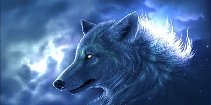 1366x768 Fox illustration, wolf, fantasy art, animals, artwork HD wallpaper