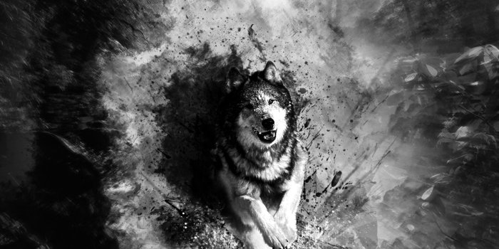 1600x1200 Abstract Art Black And White Wolf HD Wallpaper, Background Images