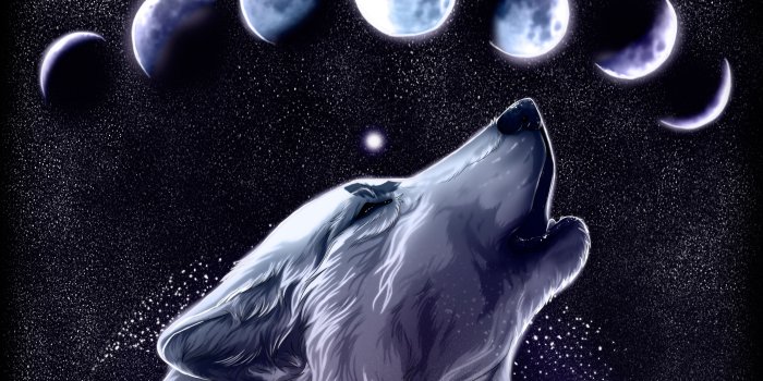 3500x2304 44+] Wolf Art Wallpaper on WallpaperSafari