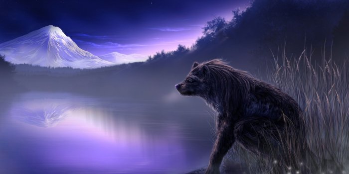 2560x1600 Fantasy Wolf Wallpapers (85+ background pictures)