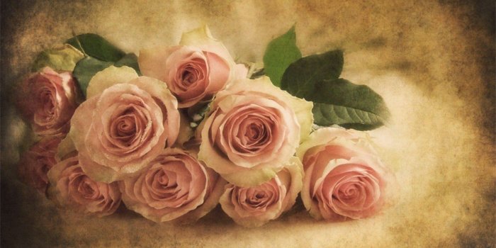 1600x900 Vintage Soft Pink Roses Wallpaper and Background Image | 1600x900