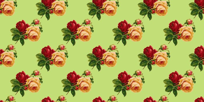 1920x1920 Vintage,roses,flowers,wallpaper,paper - free photo from needpix.com