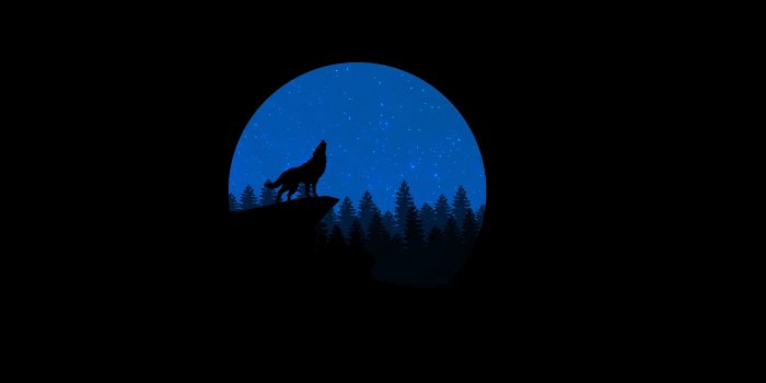 3840x2160 Wolf Minimalism Art Vector - Free Stock Photo, Image, Wallpaper, HD