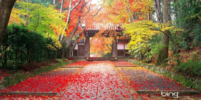 1920x1200 Japanese Nature Wallpaper (46+ images)