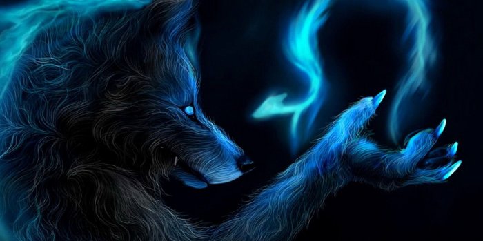 2000x1333 Wolves Wallpaper (66+ pictures)
