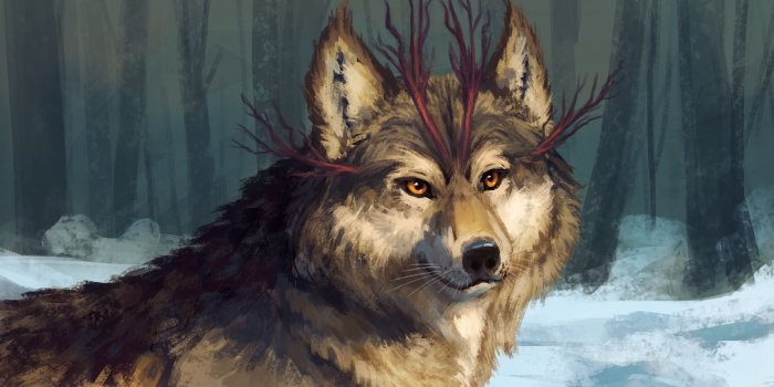 2560x1440 Download wallpaper 2560x1440 wolf, art, muzzle, fabulous, fantastic