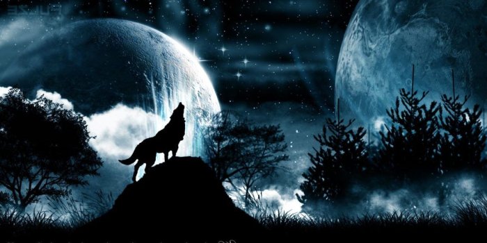 1200x675 Wallpapers For > Black Wolf Backgrounds | Book Art