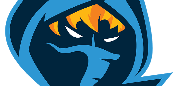 1200x800 BEAT Overwatch 2017 results: Rogue takes down Immortals in close