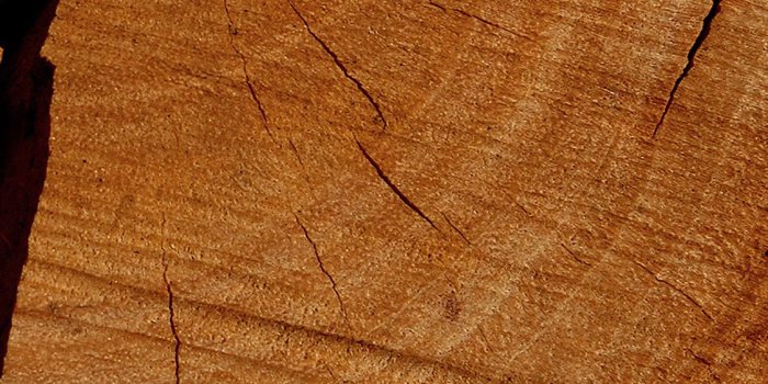 1125x2436 iPhoneXpapers.com | iPhone X wallpaper | vu06-wood-texture-pattern-brown