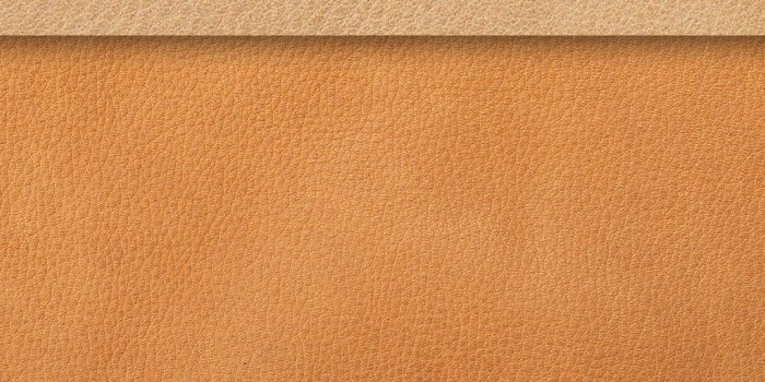 1125x2436 Wallpaper | Sena Cases – SENA Cases