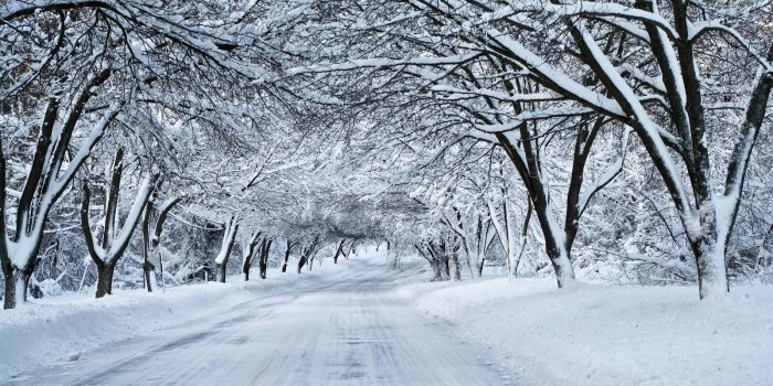 1600x1063 41+] Minnesota Winter Wallpaper on WallpaperSafari