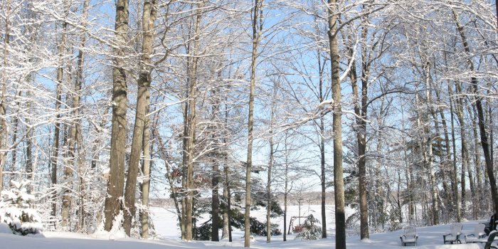 3504x2336 3068020 fresh snowfall, minnesota winter, winter lake through the