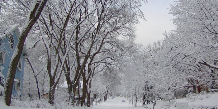 1600x1200 Minnesota Winter wallpaper | 1600x1200 | #21679