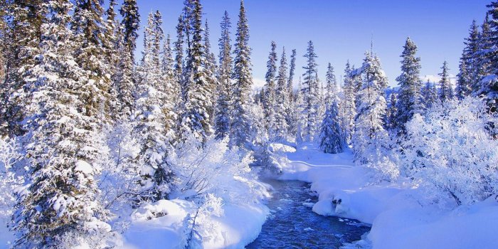 1600x1200 im.764: Minnesota Winter Wallpaper (1600x1200) - Picserio.com