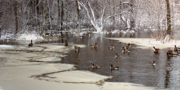 1024x768 images of spring in mn | Free Spring in Minnesota 2 Wallpaper