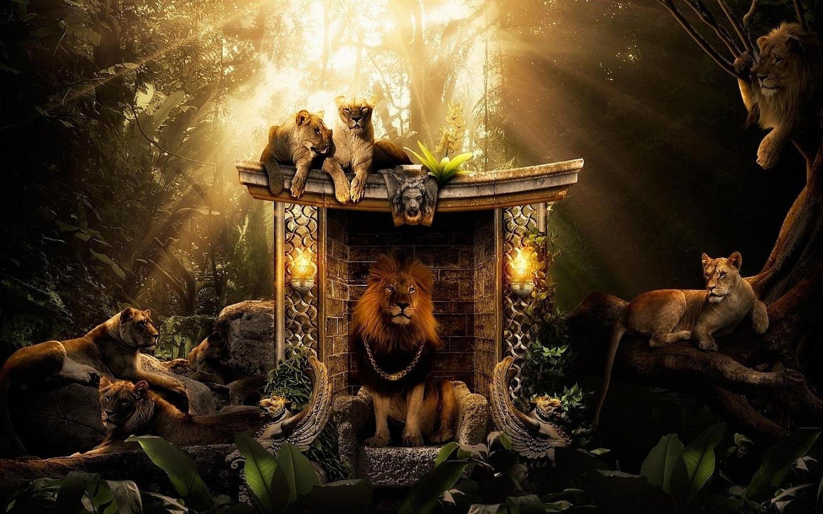 1920x1200 animals design wildlife king artwork africa lions wild animals