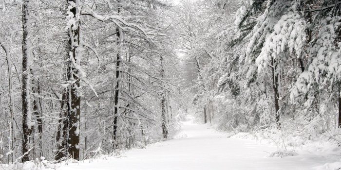 2560x1024 Winter Wallpaper and Background Image | 2560x1024 | ID:711