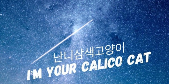 1099x1955 Bts Wings Wallpapers (90+ images)