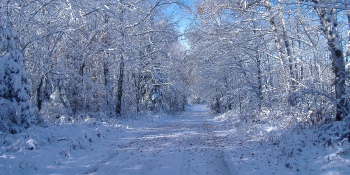 2304x1728 Winter Forest | Emily's | Snow forest, Mountain trails, Winter road