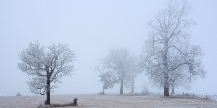 1920x1080 Foggy Winter Day Wallpaper : wallpapers