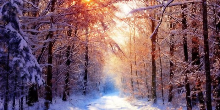 1920x1080 Nature winter wallpapers - SF Wallpaper