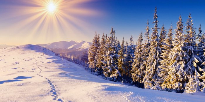 2880x1800 Top Wallpapers 2016: Winter Images, Incredible Winter Photos | LL.GL