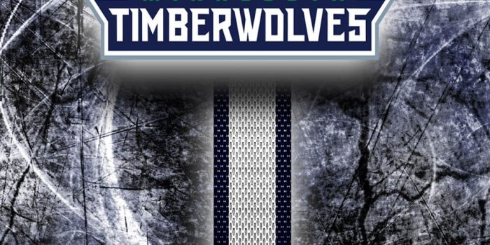 1000x1600 Minnesota Timberwolves - Download Free HD Mobile Wallpapers