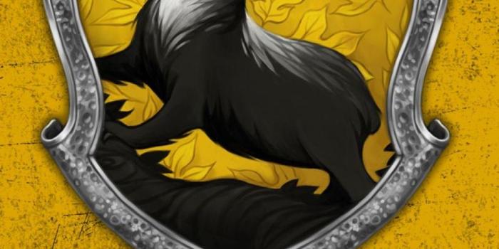 1080x1920 Hufflepuff Wallpapers