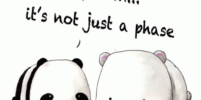 750x1334 projeto minúsculo — panda.