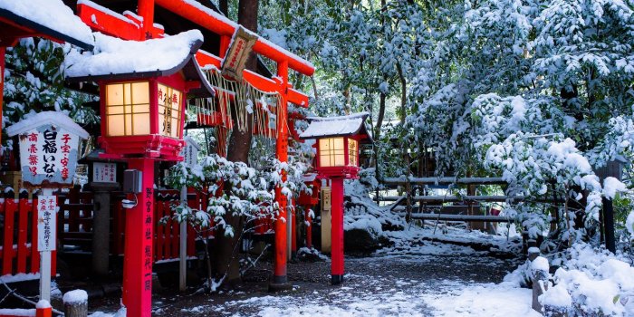 1920x1440 Wallpaper Shrine, Torii gate, Kyoto, Japan, winter, snow, trees