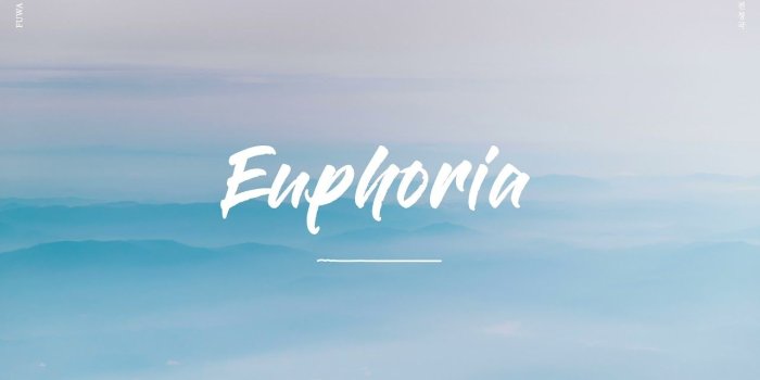 1280x720 BTS (방탄소년단) - Euphoria / FUWA【COVER】