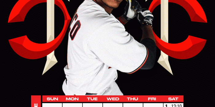 1440x3040 Twins Wallpapers | Minnesota Twins