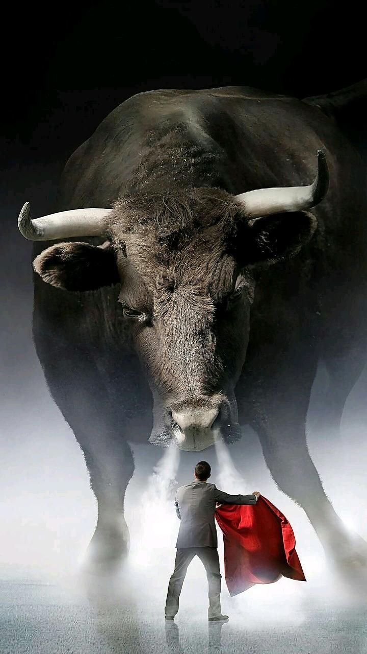 720x1280 Download Bull vs man wallpaper by varunvenky6342043 now. Browse