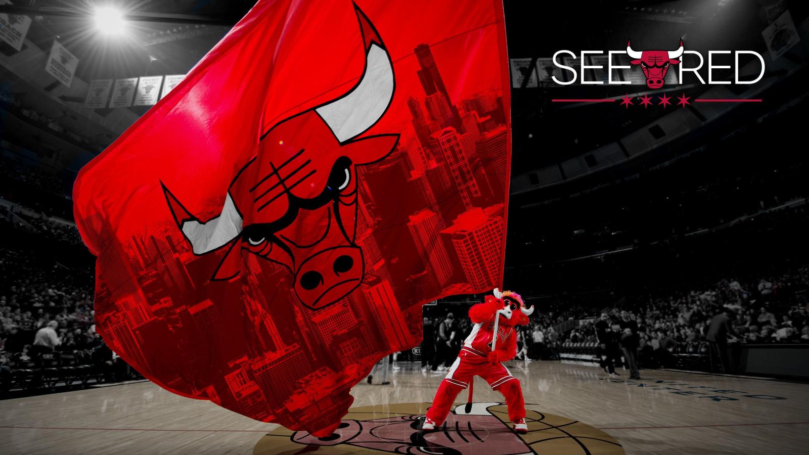2560x1440 Chicago Bulls Wallpaper (69+ images)