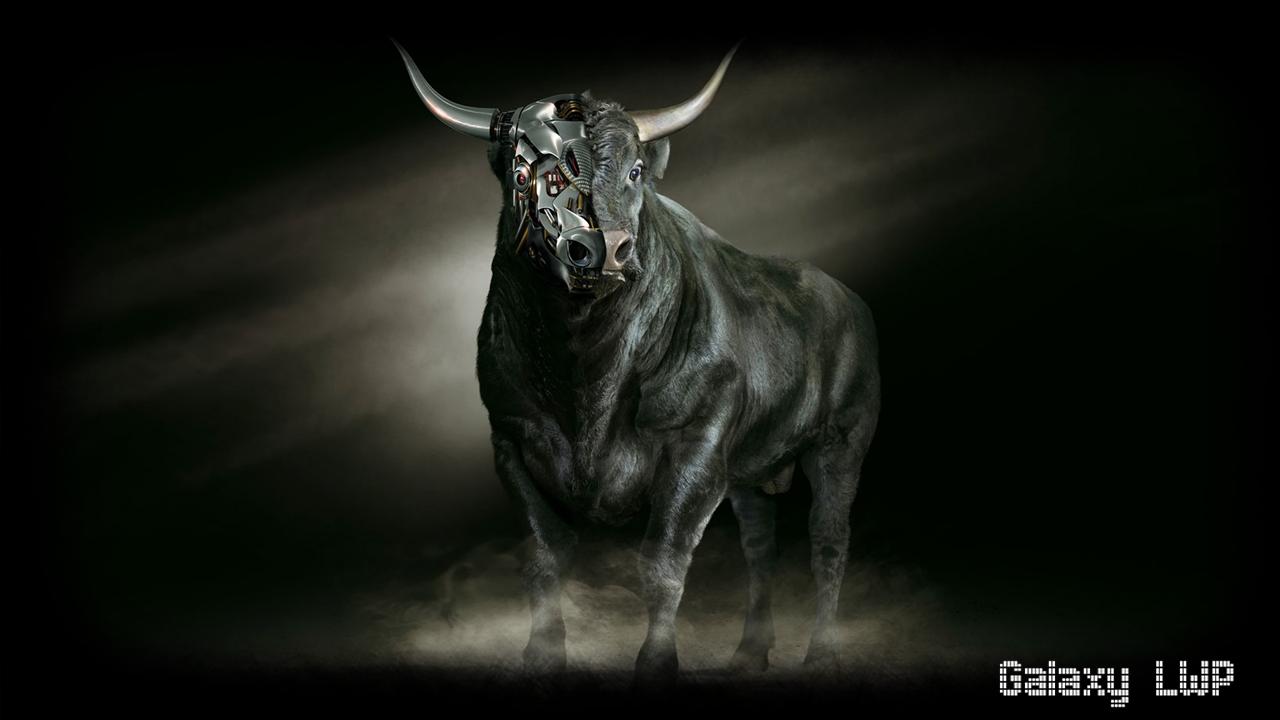 1280x720 Bull Wallpaper for Android - APK Download