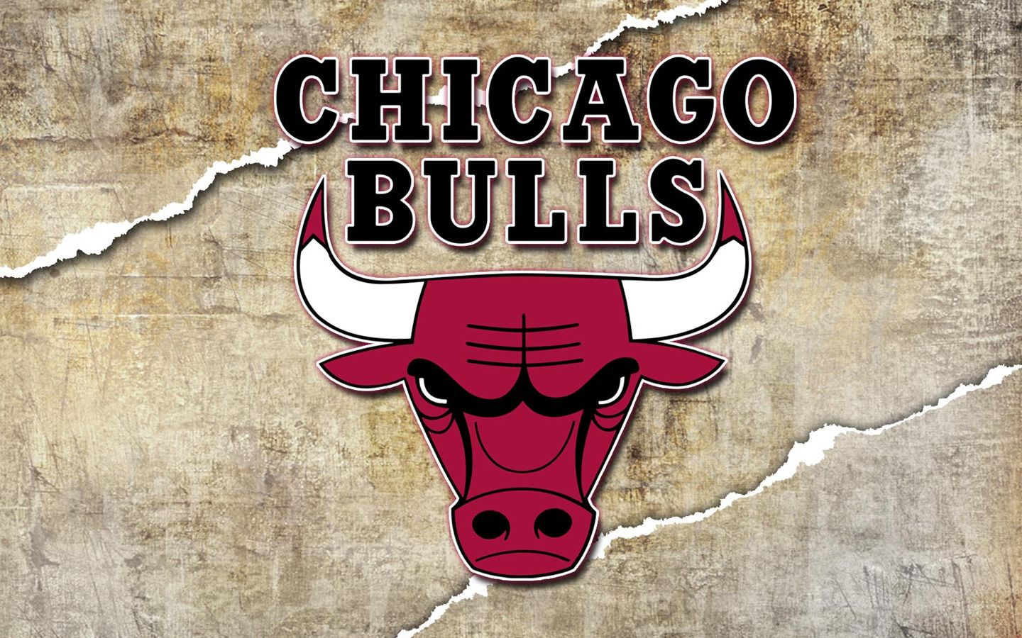 1440x900 Chicago Bulls Windy City Wallpaper Desktop #6964030