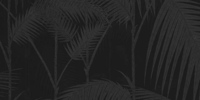 720x1280 Dark Dope Wallpaper by Studio929 - 70 - Free on ZEDGE™