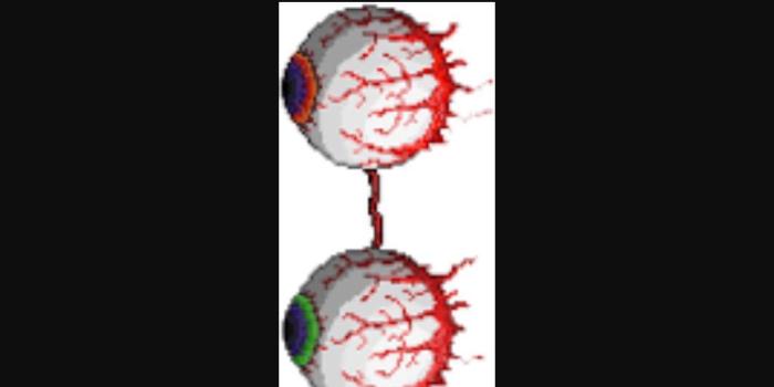 1024x768 Terraria Bosses - The Twins - Wattpad