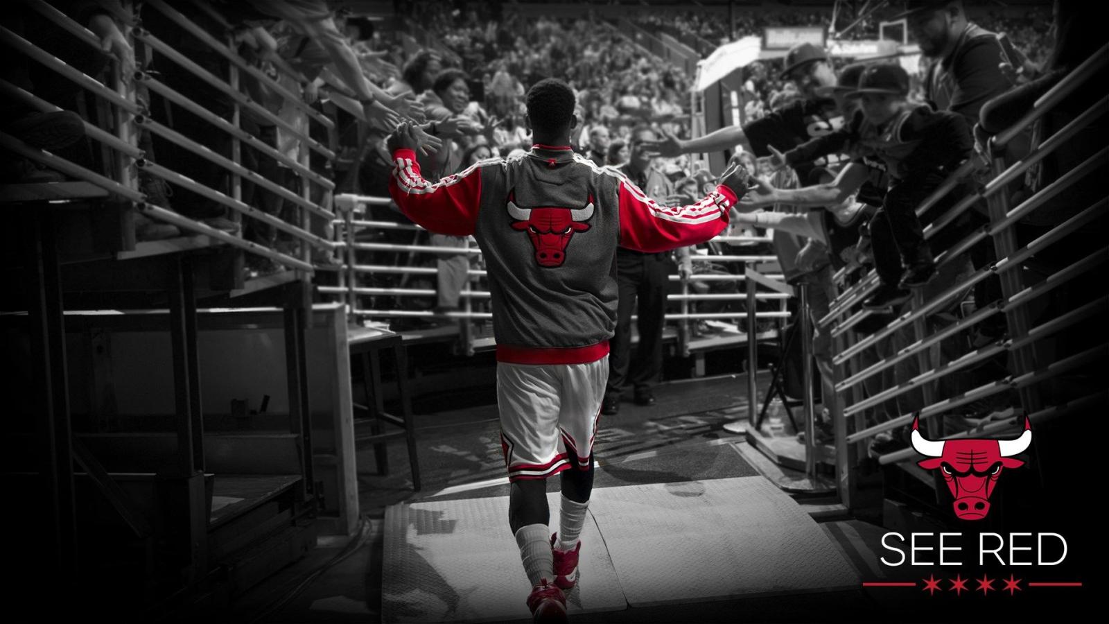 1920x1080 Chicago bulls wallpaper 7 - Free HD Wallpapers