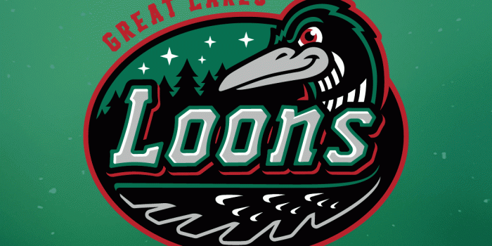 1080x1920 Loons Wallpapers | Loons