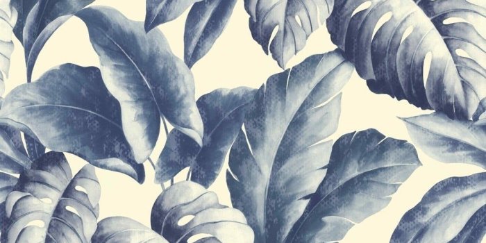 1000x1000 Jungle Wallpaper & Tropical Wallpaper | I Want Wallpaper