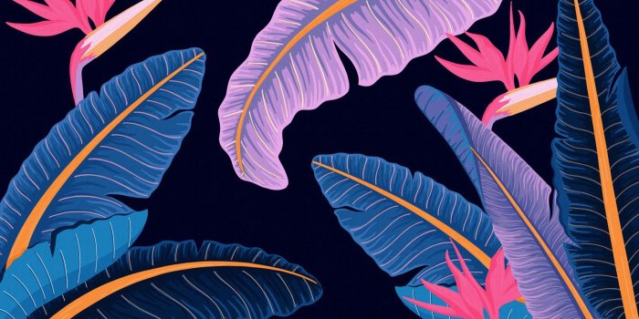 1650x1070 Blue Banana Leaf Bird of Paradise Tropical Wallpaper Mural - Murals