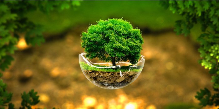 1920x1080 Awesome Little Tree Background Wallpaper Pc Wallpaper | WallpaperLepi