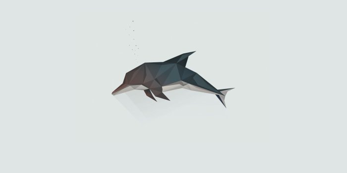 2560x3840 Polygonal Dolphin Mobile Wallpaper | Miniwallist