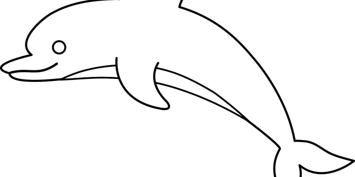 1920x1359 Dolphin Images Clip Art | Free Download Wallpaper Desktop