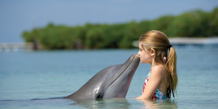 2560x1600 Girl kissing black Dolphin at daytime HD wallpaper | Wallpaper Flare