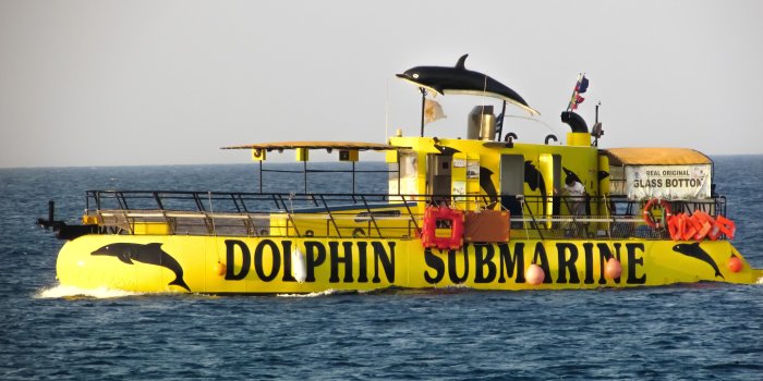 4608x2592 yellow and black dolphin submarine free image | Peakpx